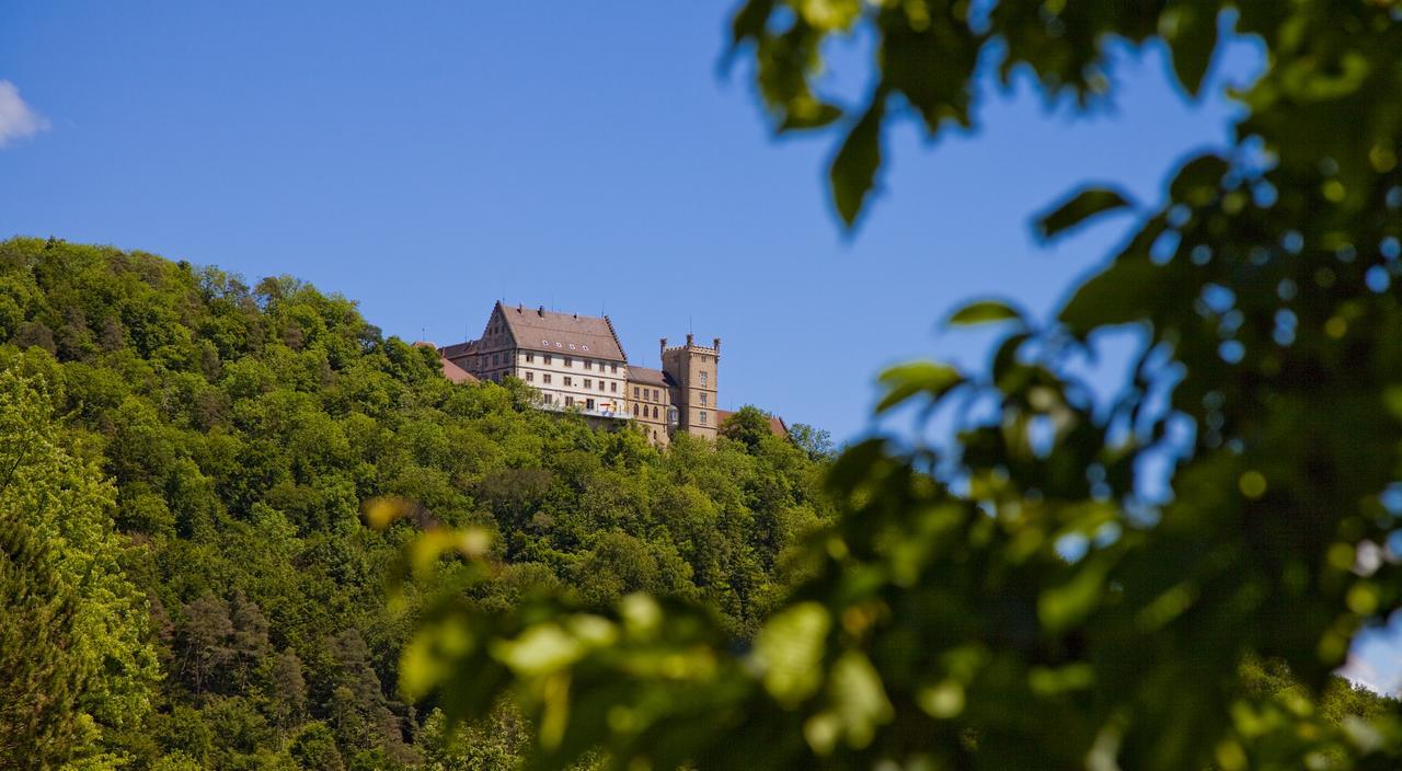 Schloss Weitenburg Starzach Zewnętrze zdjęcie